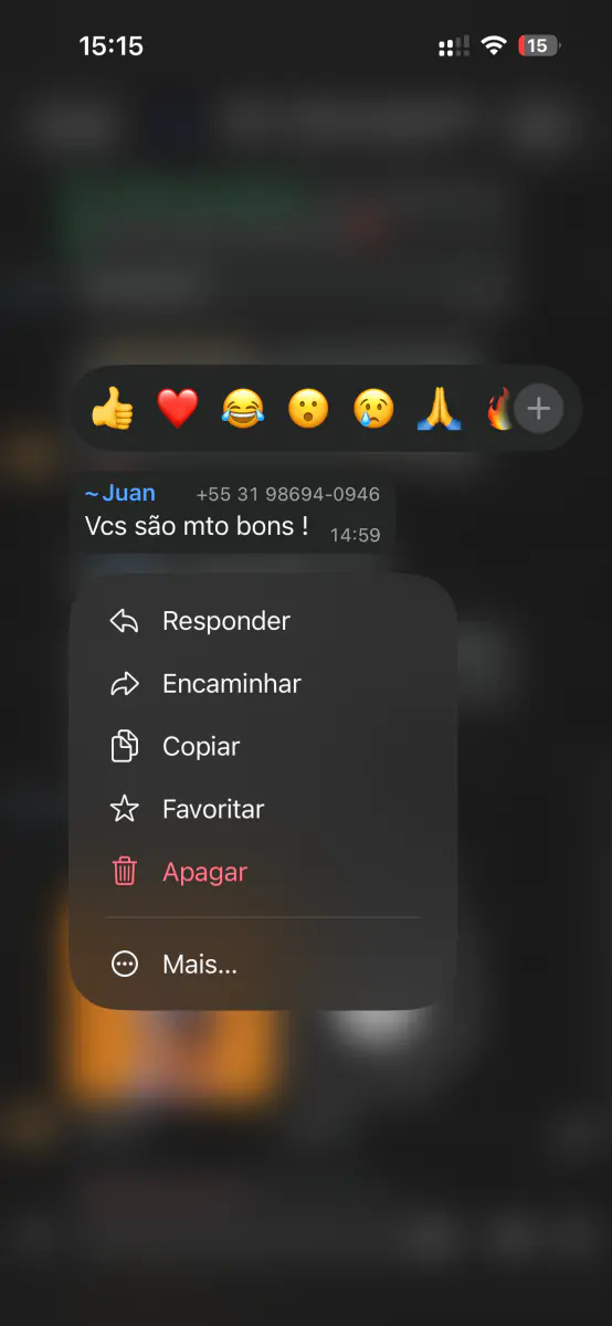 Mensagem de cliente no WhatsApp