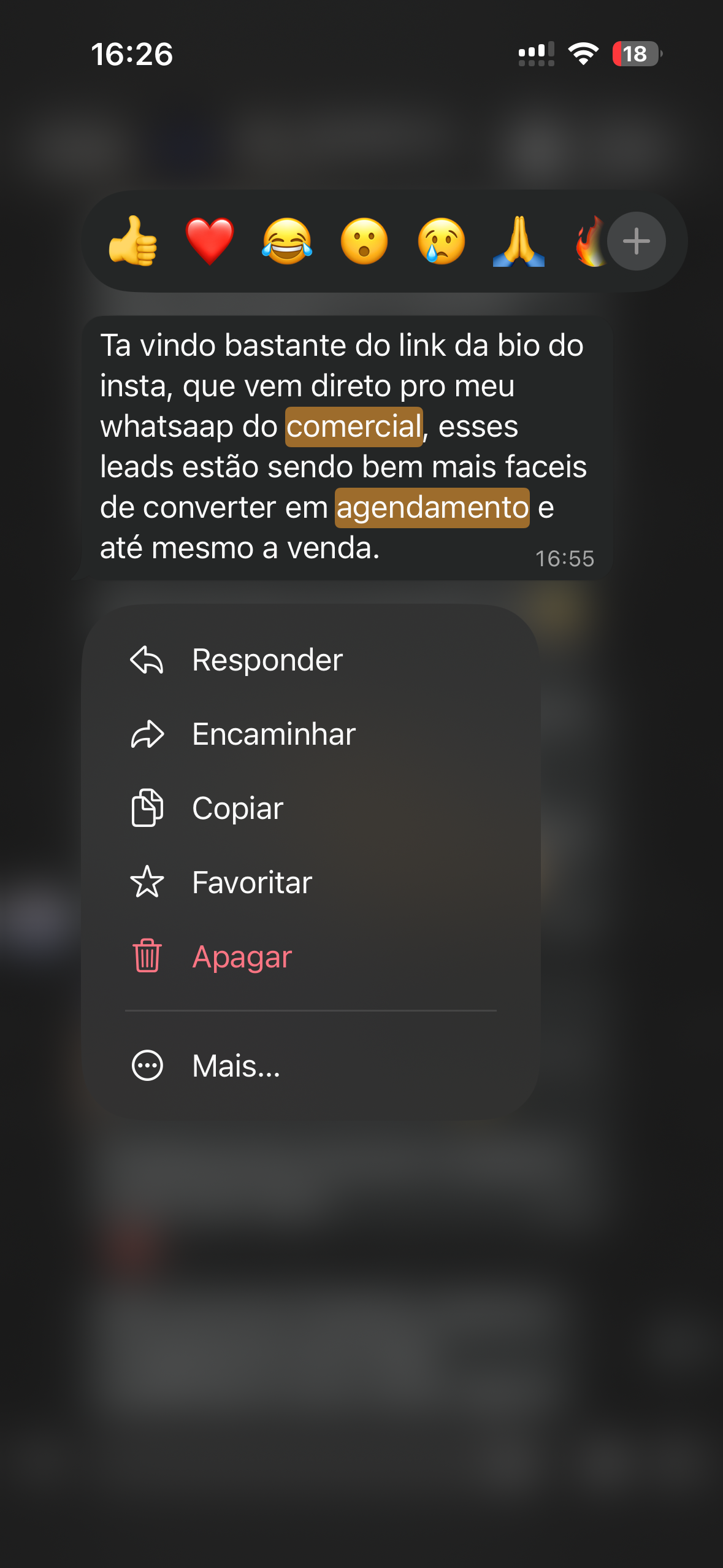 Mensagem de cliente no WhatsApp