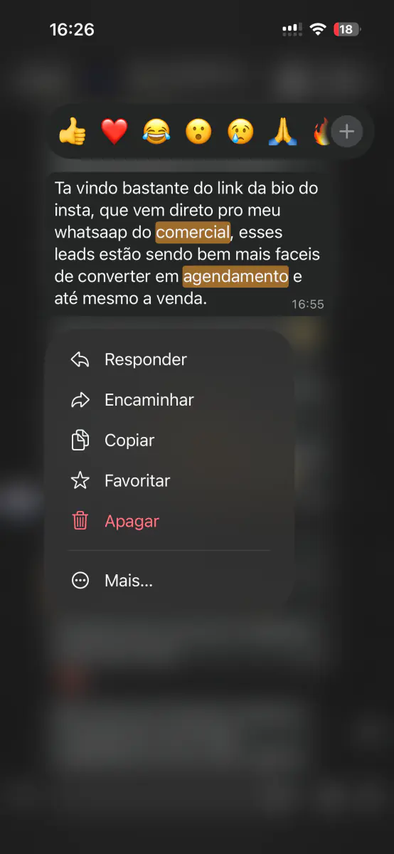 Mensagem de cliente no WhatsApp
