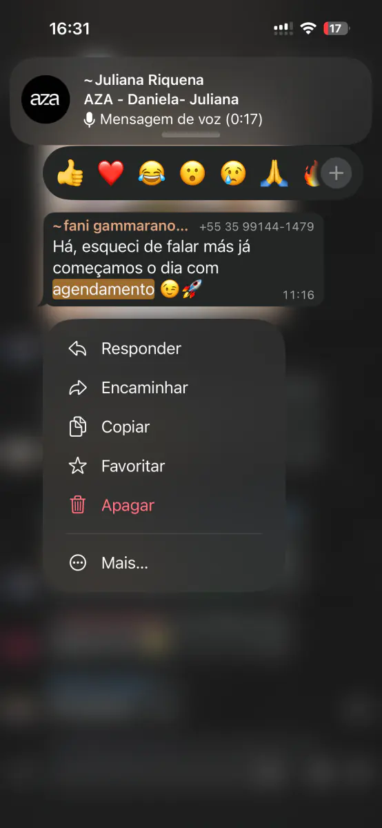 Mensagem de cliente no WhatsApp