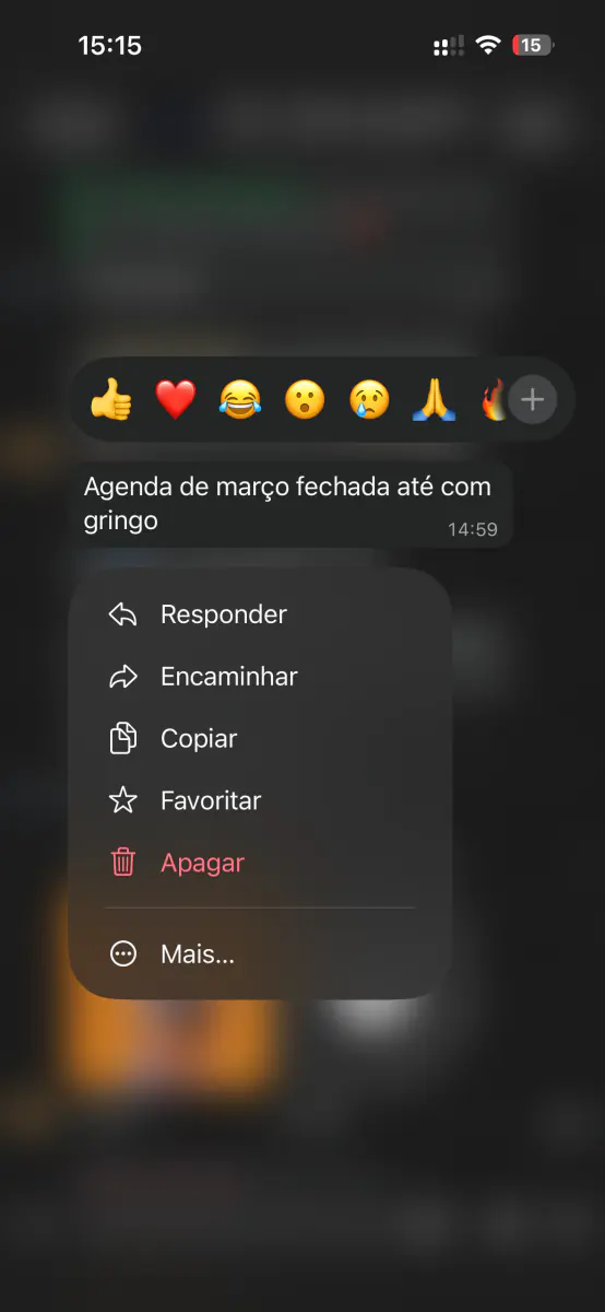 Mensagem de cliente no WhatsApp