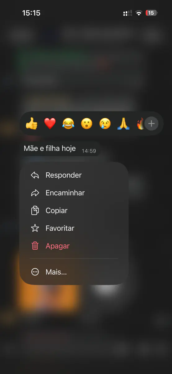 Mensagem de cliente no WhatsApp