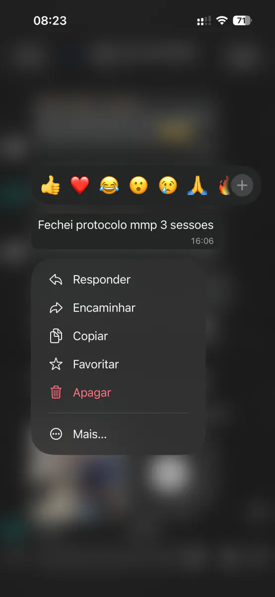 Mensagem de cliente no WhatsApp